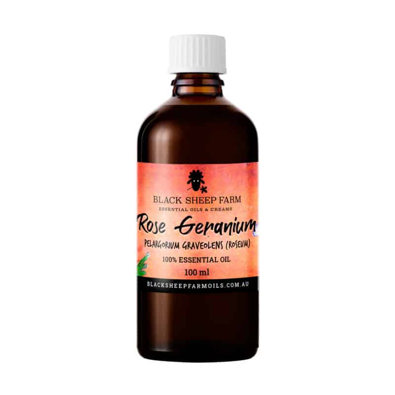100% Pure Rose Geranium Essential Oil, Pelargonium Graveolens (roseum) 100ml - Black Sheep Farm