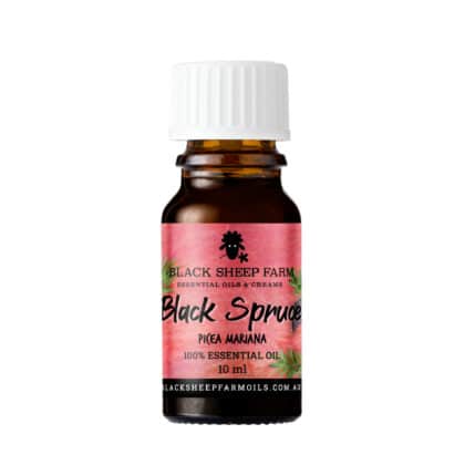 100% Pure Black Spruce Essential Oil, Picea Mariana 10ml - Black Sheep Farm