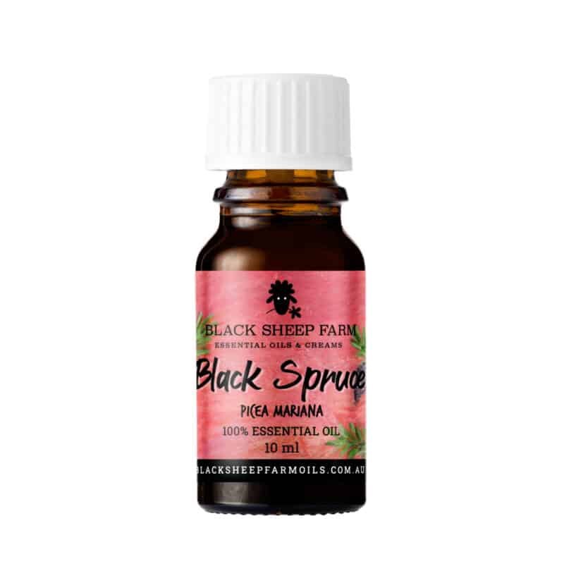 100% Pure Black Spruce Essential Oil, Picea Mariana 10ml - Black Sheep Farm