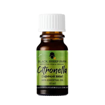 100% Pure Citronella Essential Oil, Cymbopogon Nardus 10ml - Black Sheep Farm