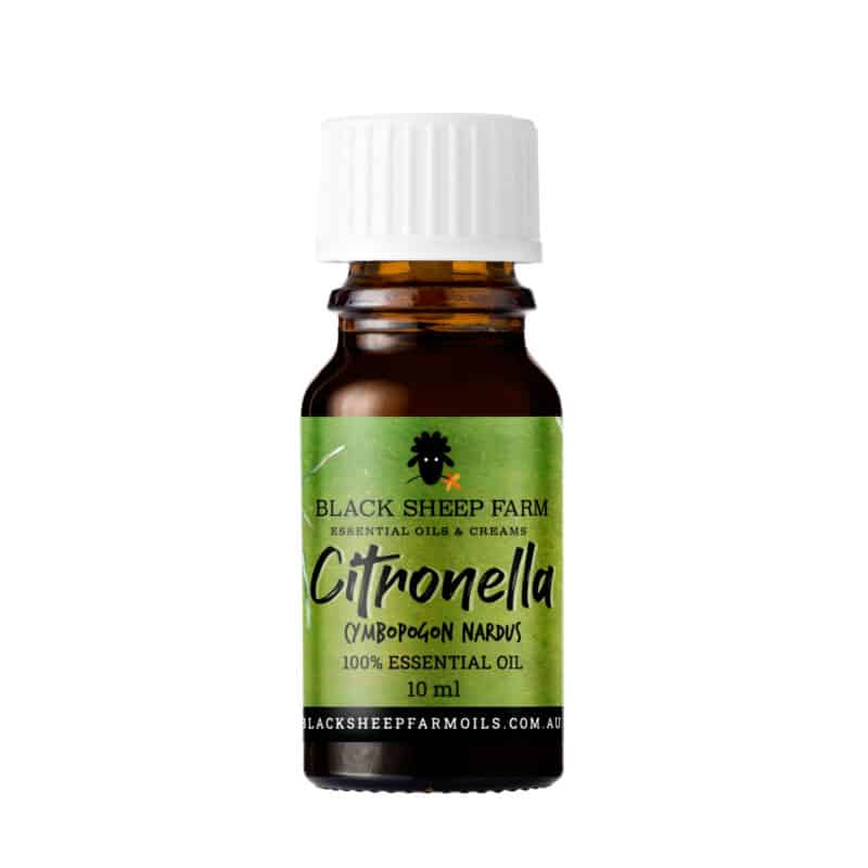 100% Pure Citronella Essential Oil, Cymbopogon Nardus 10ml - Black Sheep Farm