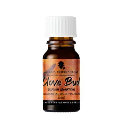 25% Clove Bud Essential Oil in 75% Jojoba Oil, Szygium Aromaticum 10ml - Black Sheep Farm