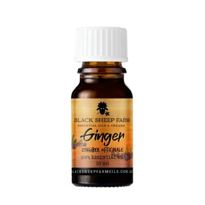 100% Pure Ginger Essential Oil, Zingiber Officinale 10ml - Black Sheep Farm