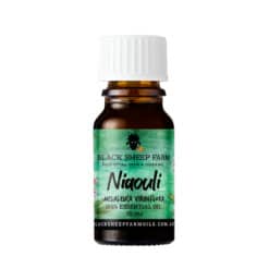 100% Niaouli Essential Oil, Melaleuca Viridiflora 10ml - Black Sheep Farm