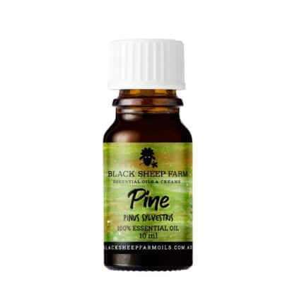 100% Pine Essential Oil, Pinus Pumilio 10ml - Black Sheep Farm