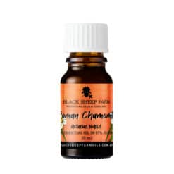 Roman Chamomile Essential Oil, 3% Anthemis Nobilis in 97% Jojoba Oil 10ml - Black Sheep Farm