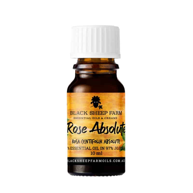 3% Rose Absolute Essential Oil in 97% Jojoba, Rose Centifolia 10ml - Black Sheep Farm