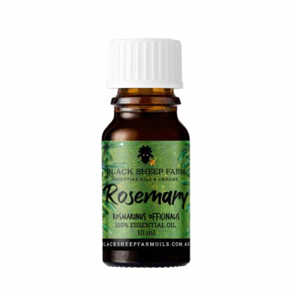 Rosemary Essential Oil, Rosmarinus Officinalis 10ml - Black Sheep Farm