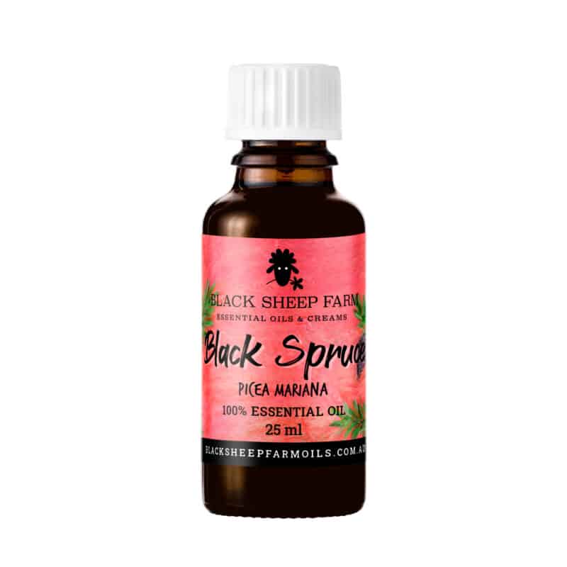 100% Pure Black Spruce Essential Oil, Picea Mariana 25ml - Black Sheep Farm