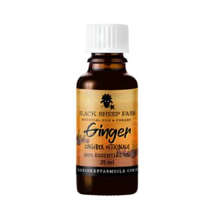 100% Pure Ginger Essential Oil, Zingiber Officinale 25ml - Black Sheep Farm