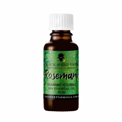 Rosemary Essential Oil, Rosmarinus Officinalis 25ml - Black Sheep Farm