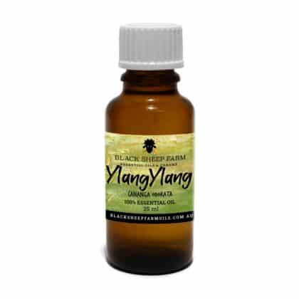 100% Pure Ylang Ylang Essential Oil, Cananga Odorata 25ml - Black Sheep Farm