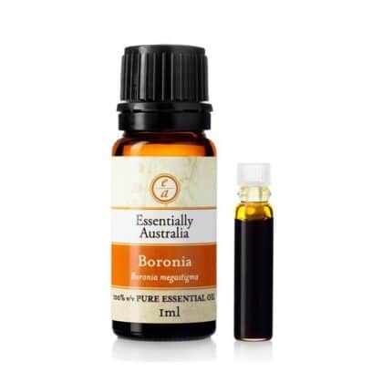 Boronia 100% Pure Absolute Oil 1ml - Essentially Australia