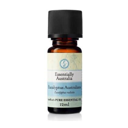 Eucalyptus Australiana Essential Oil 12ml - Essentially Australia