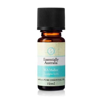 Eucalyptus WA Mallee (Kochii) Essential Oil 12ml - Essentially Australia