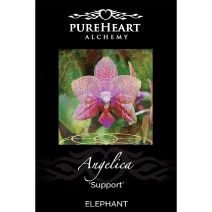 PureHeart Alchemy - Angelica Mist 100ml