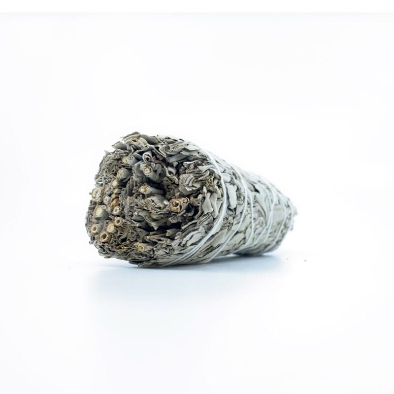 Californian White Sage MEDIUM Smudge Stick