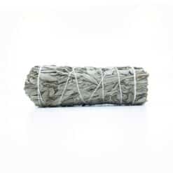 Californian White Sage MEDIUM Smudge Stick