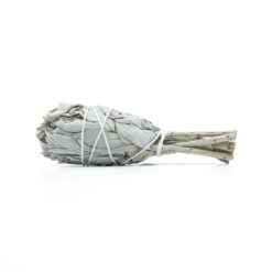 Californian White Sage MINI Smudge Stick