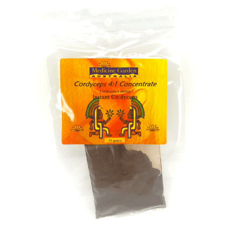 Cordyceps 4-1 Concentrate 25g - Medicine Garden