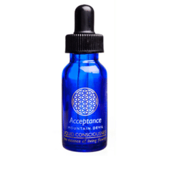 Acceptance Flower Essence Remedy 15ml - Liquid Consciousness