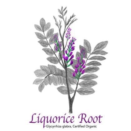 Liquorice Root - The Herb Temple