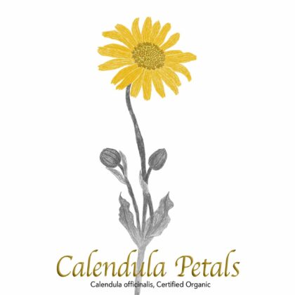 Calendula Petals - The Herb Temple