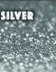 Biodegradable Glitter Silver