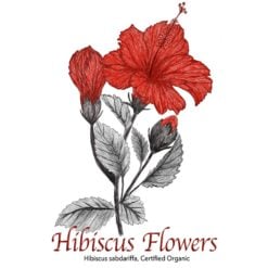 Hibiscus Flower - The Herb Temple