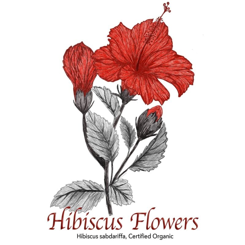 Hibiscus Flower - The Herb Temple