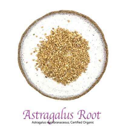 Astragalus Root Organic - The Herb Temple