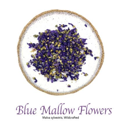 Blue Mallow Flowers Wildcrafted - The Herb Temple