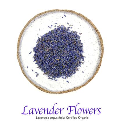 Lavender Flower Organic - The Herb Temple