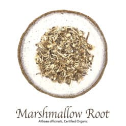 Marshmallow Root Organic - The Herb Temple