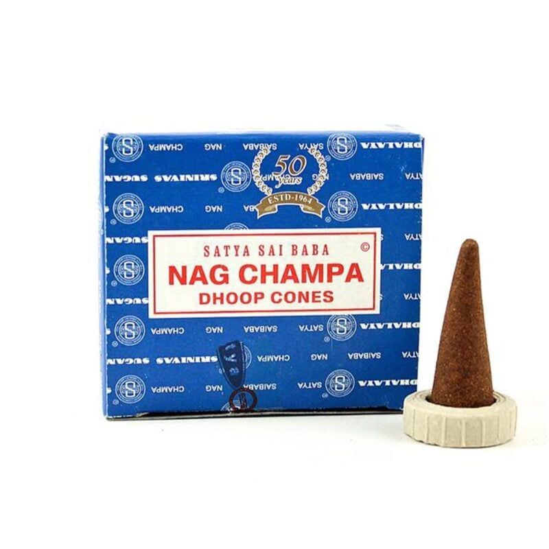 Satya Cones NAG CHAMPA