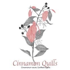 Cinnamon Verum Quills - The Herb Temple