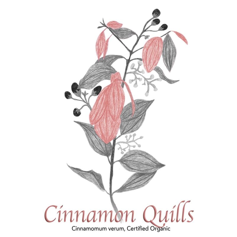 Cinnamon Verum Quills - The Herb Temple