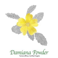 Damiana Powder - The Herb Temple