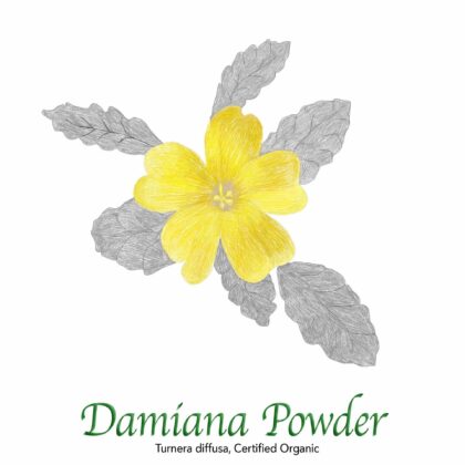 Damiana Powder - The Herb Temple