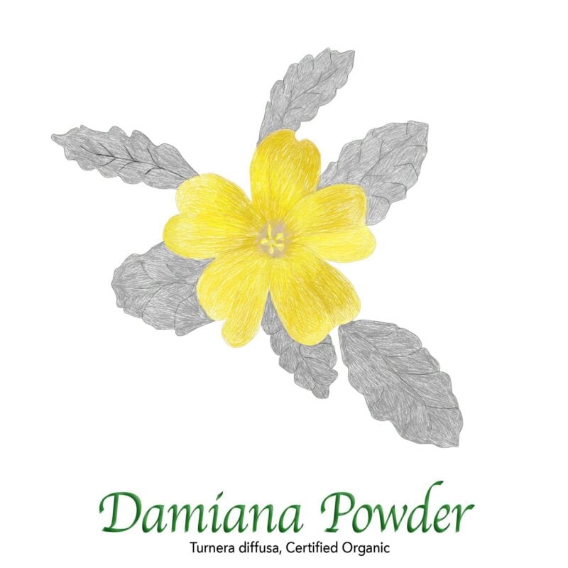 Damiana Powder - The Herb Temple
