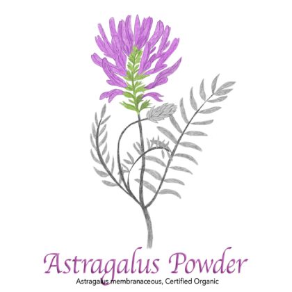 Astragalus Powder - The Herb Temple