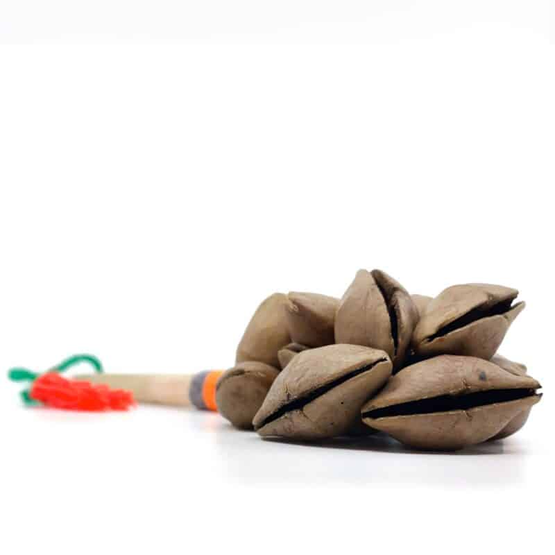 Cachos Seeds Chacapa / Rattle - Image 3