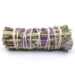 Faith Guidance Protection 1 With Good Intentions