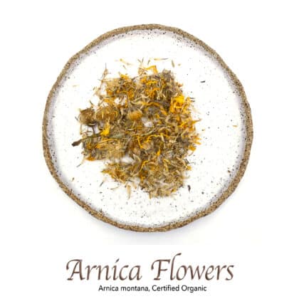 Arnica Flowers Organic - The Herb Temple