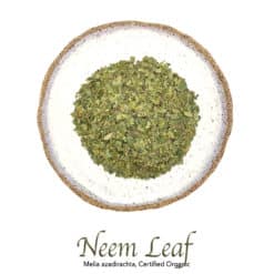 Neem Leaf Organic - The Herb Temple