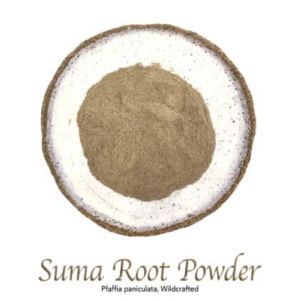 Suma Root Powder Wildcrafted - The Herb Temple