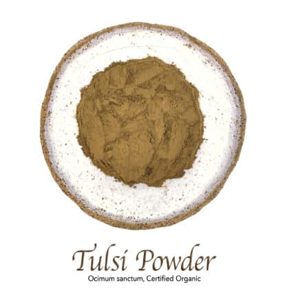 Tulsi Powder - Holy Basil Organic - The Herb Temple