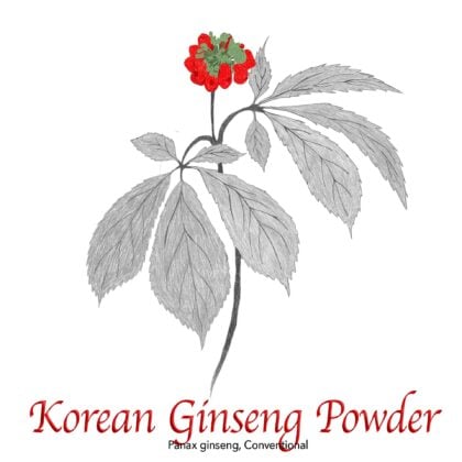Korean Ginseng Panax Powder Conventional - The Herb Temple