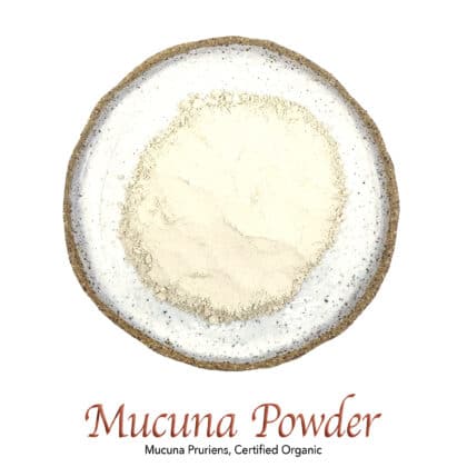 Mucuna Powder Organic - The Herb Temple