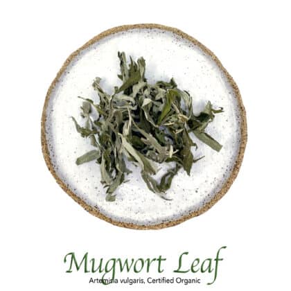 Mugwort Leaf Organic - The Herb Temple